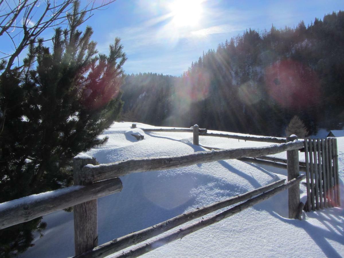 Almgasthaus Seebergalm Turnau Εξωτερικό φωτογραφία