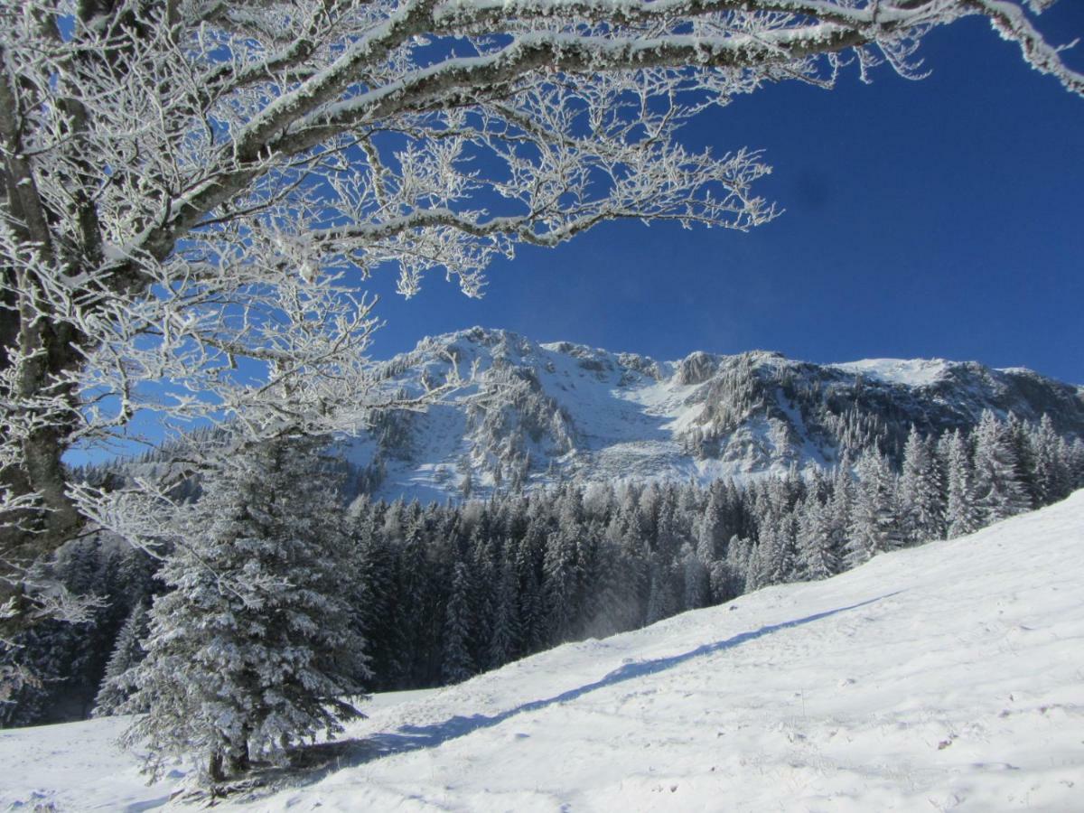 Almgasthaus Seebergalm Turnau Εξωτερικό φωτογραφία
