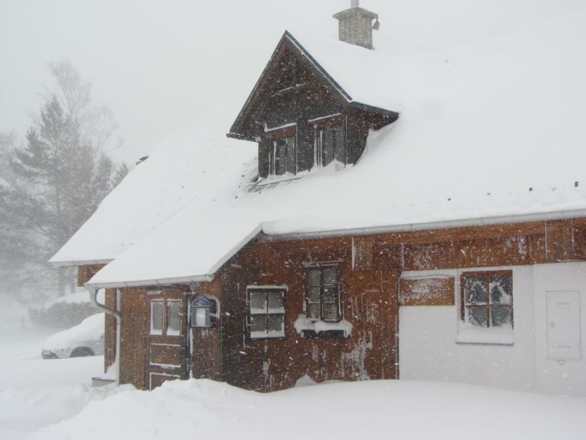 Almgasthaus Seebergalm Turnau Εξωτερικό φωτογραφία