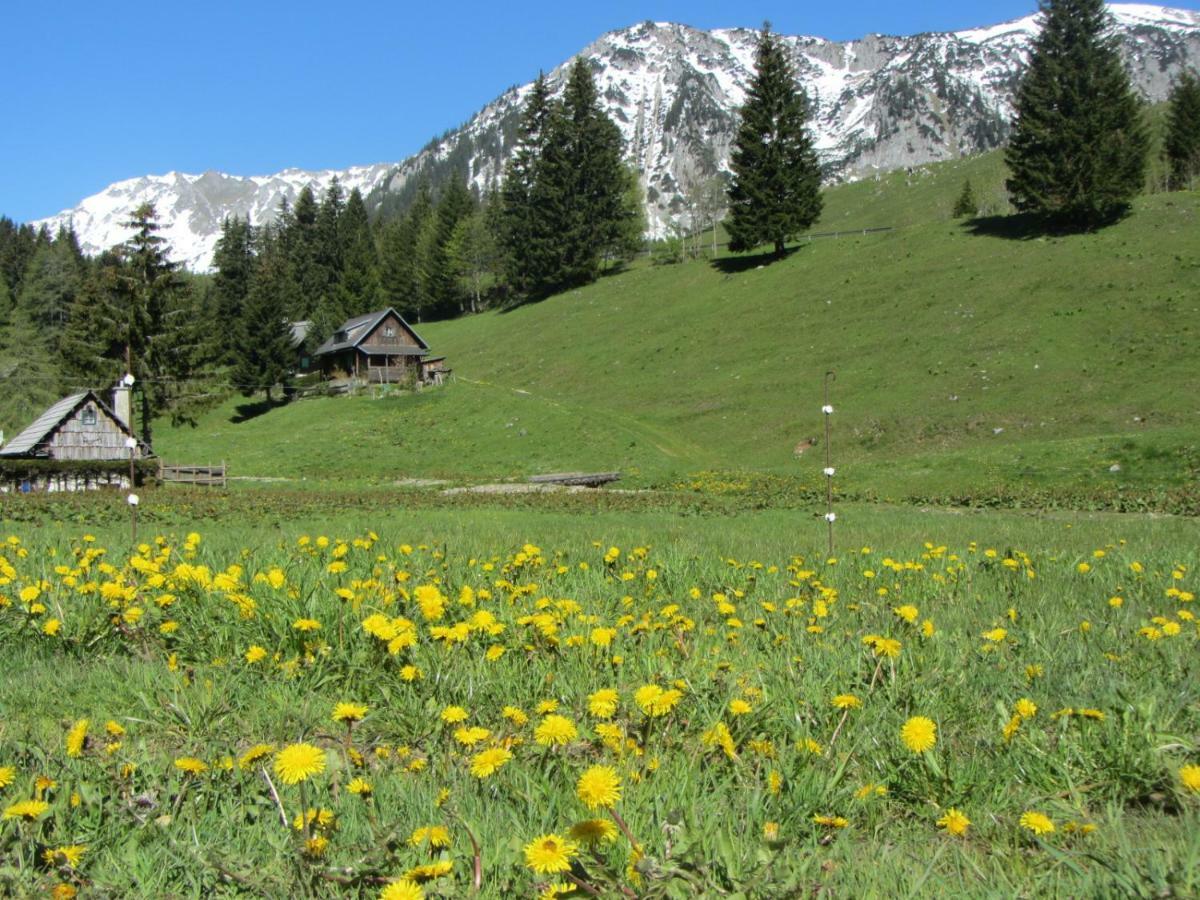 Almgasthaus Seebergalm Turnau Εξωτερικό φωτογραφία