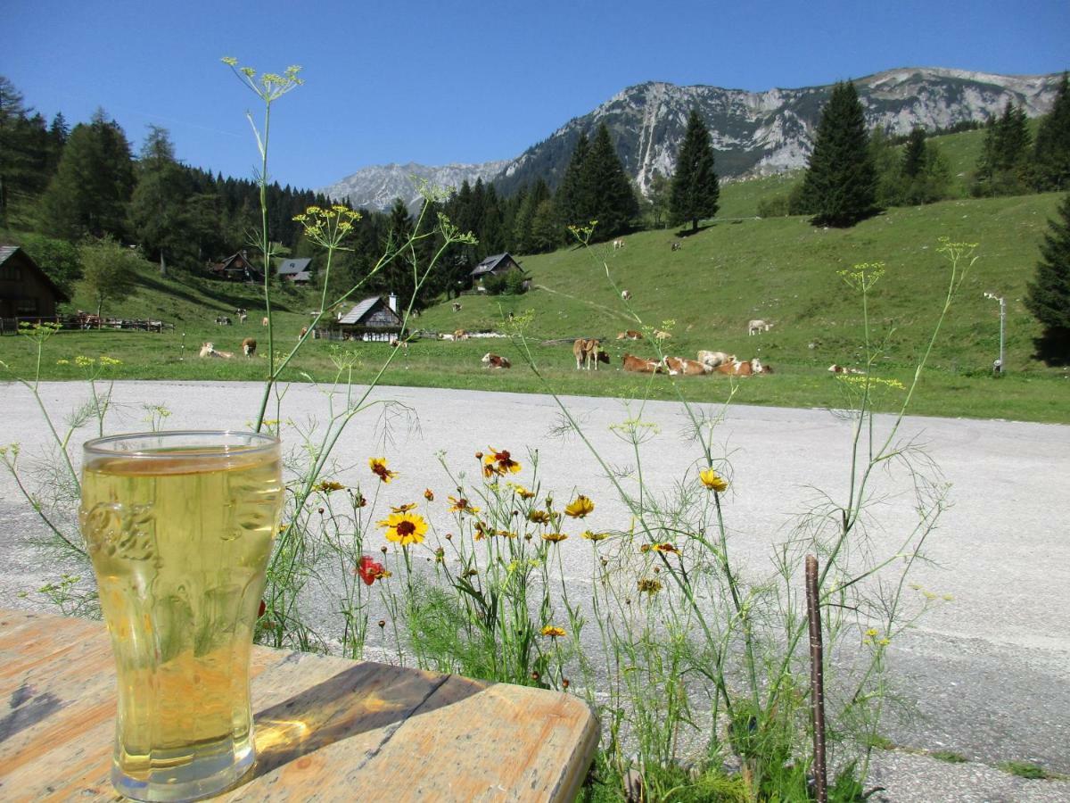 Almgasthaus Seebergalm Turnau Εξωτερικό φωτογραφία